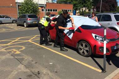 Police break into a hot car to save dogs in York