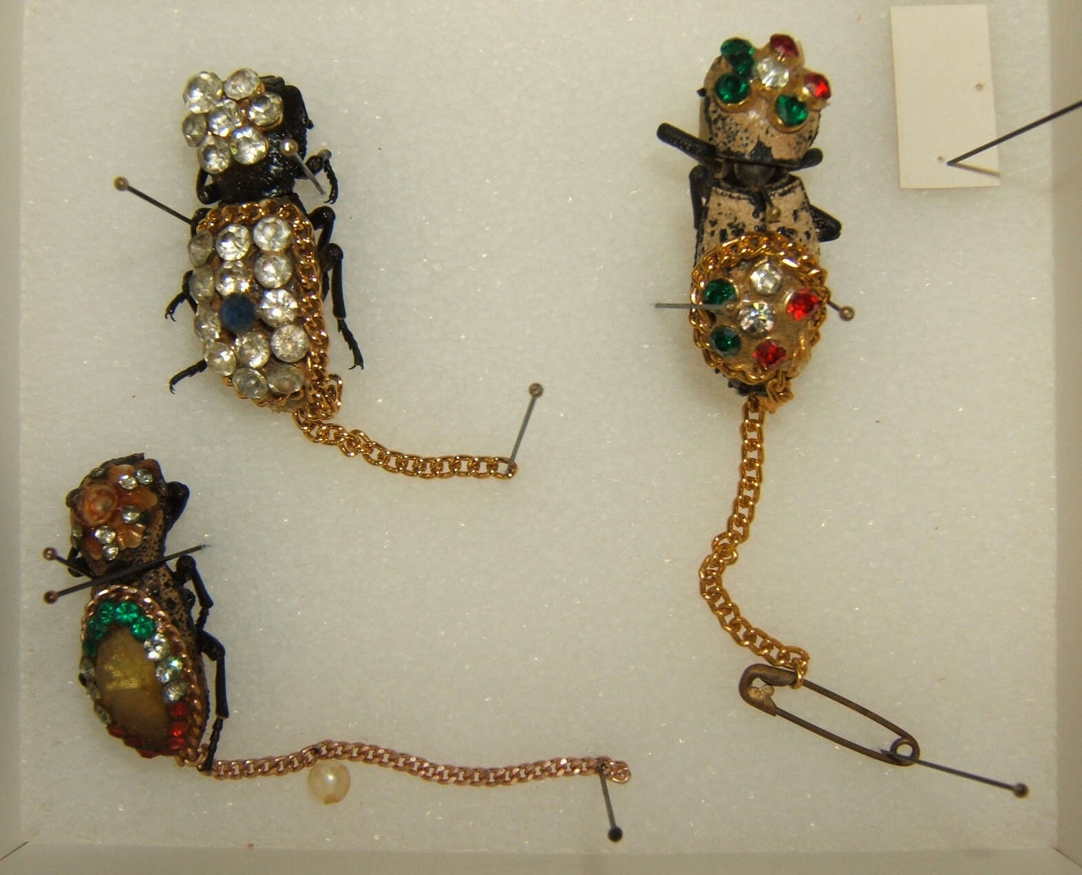 live beetle jewelry mexico