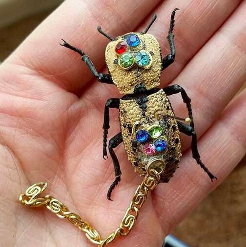 live beetle jewelry mexico