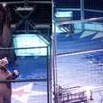 Circus bears being forced to perform