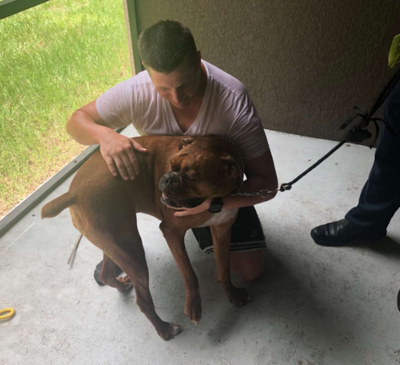 Florida Police Deputy Enters Swamp To Save A Stranded Dog - The Dodo