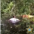 Brave Cop Wades Into Swamp To Save A Stranded Dog