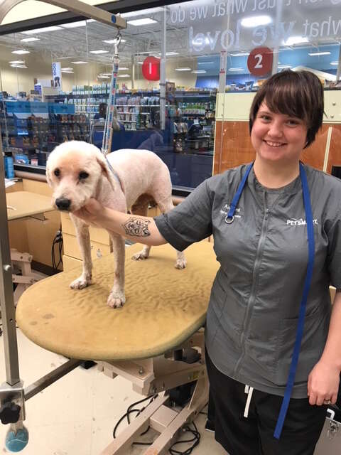 Severely neglected poodle who arrived at Texas shelter with dreadlocks