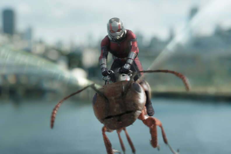 Ant-Man and the Wasp Quantum Realm Special Effects, Explained - Thrillist