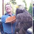 Oregon cop saves injured bald eagle 