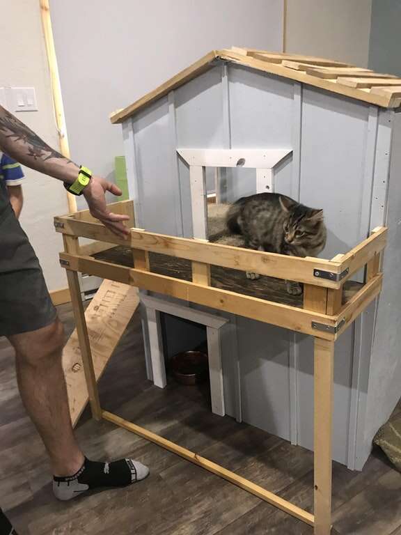 family builds house for kitten