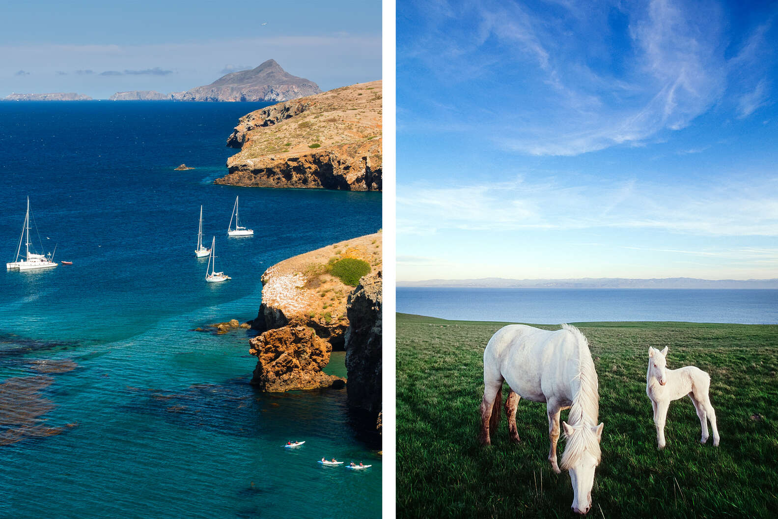 Getty Images L: Danita Delimont/Gallo Images R: Richard Ross/The Image Bank
