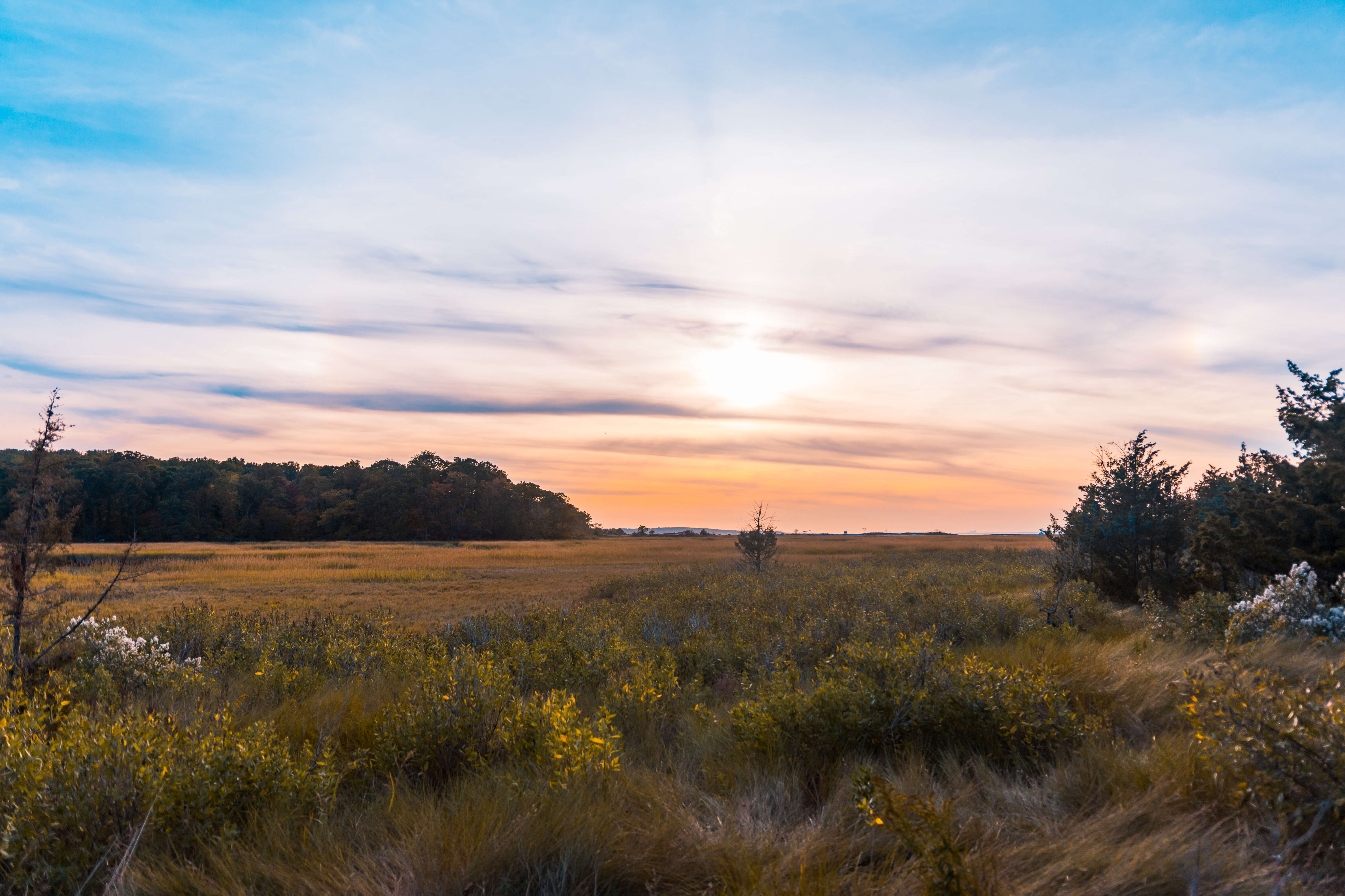 caumsett state park