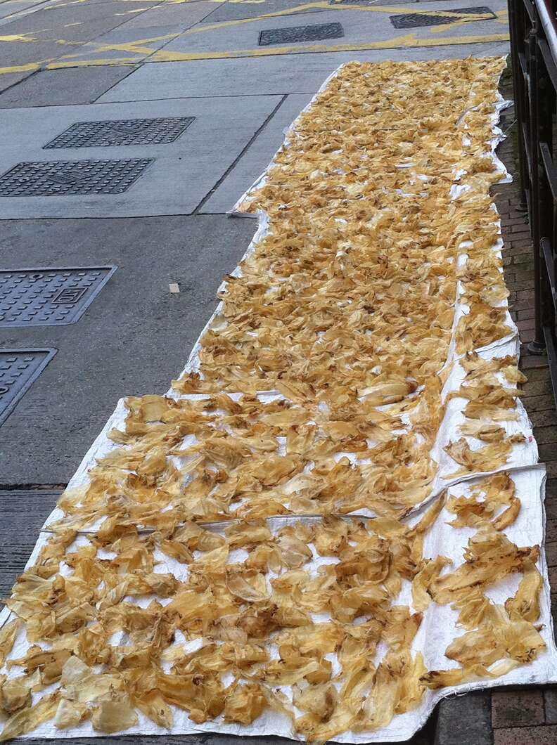 Totoaba fish bladders drying for sale in China