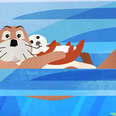 Otter Pups Can’t Swim, Here’s How Moms Turn Babies Into Buoys