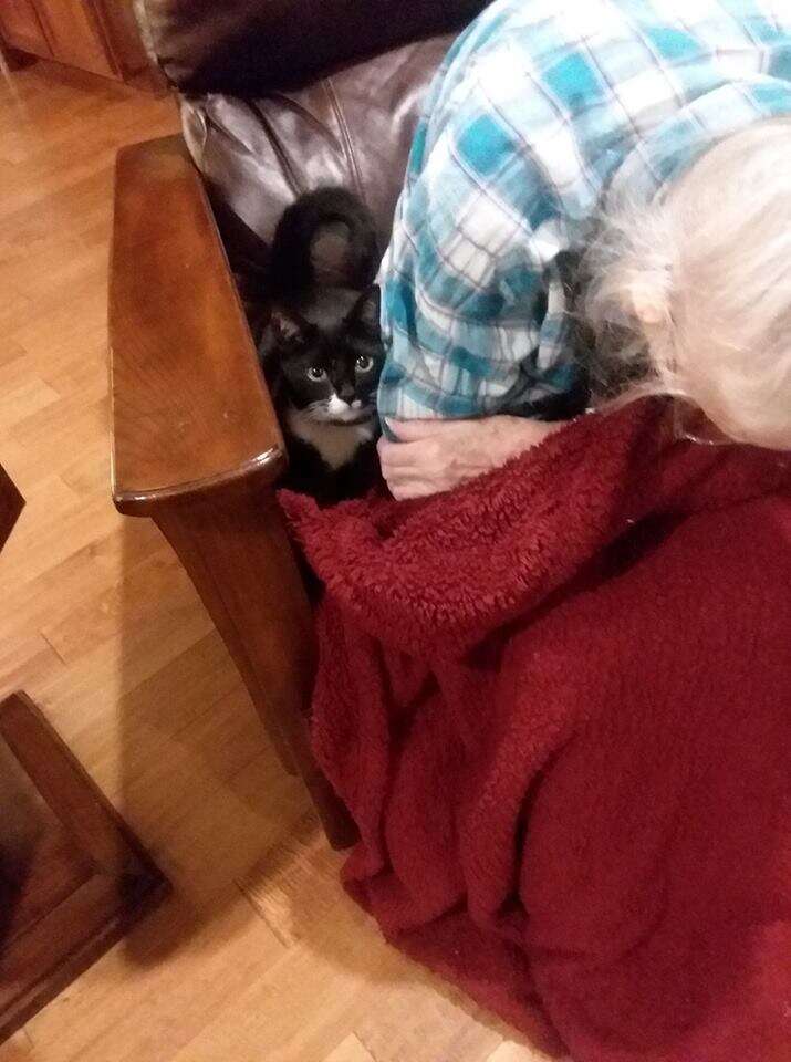 Cat cuddling with sick woman