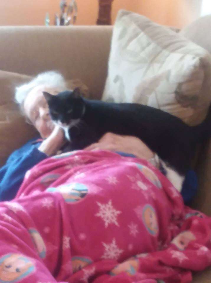 Cat cuddling with older woman