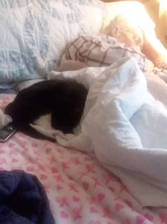 Cat cuddling with sick woman