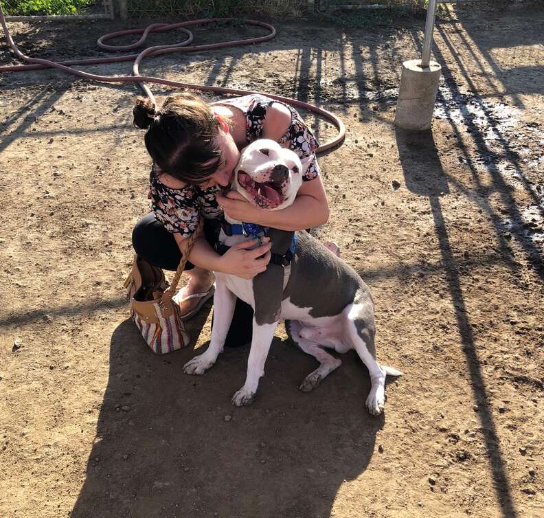 Lucy Fraustro kisses Dodger the pit bull