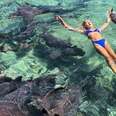 Model in water with nurse sharks