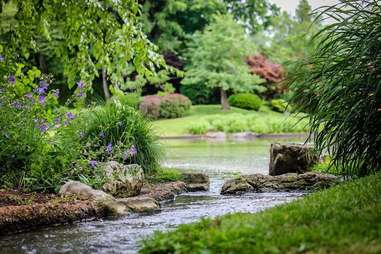 Missouri Botanical Garden