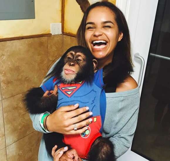 chimp zoo selfies