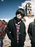 the pillows