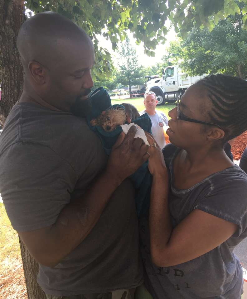 MJ the puppy reunites with the Evans family