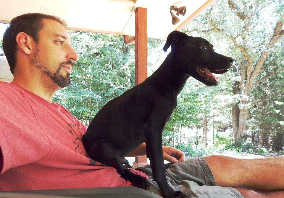 Puppy sitting on man's chest