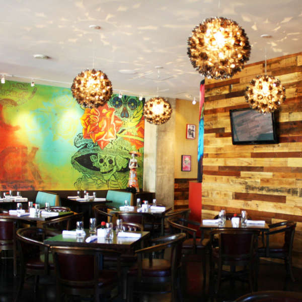 Wild Salsa A Restaurant in Dallas, TX Thrillist