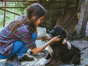 Woman petting dog