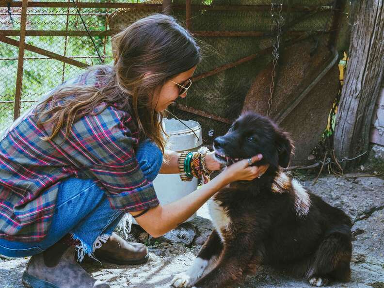 Woman petting dog