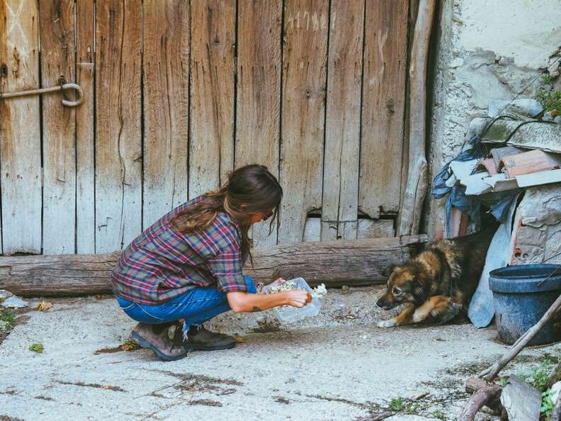 Woman offering food to dog