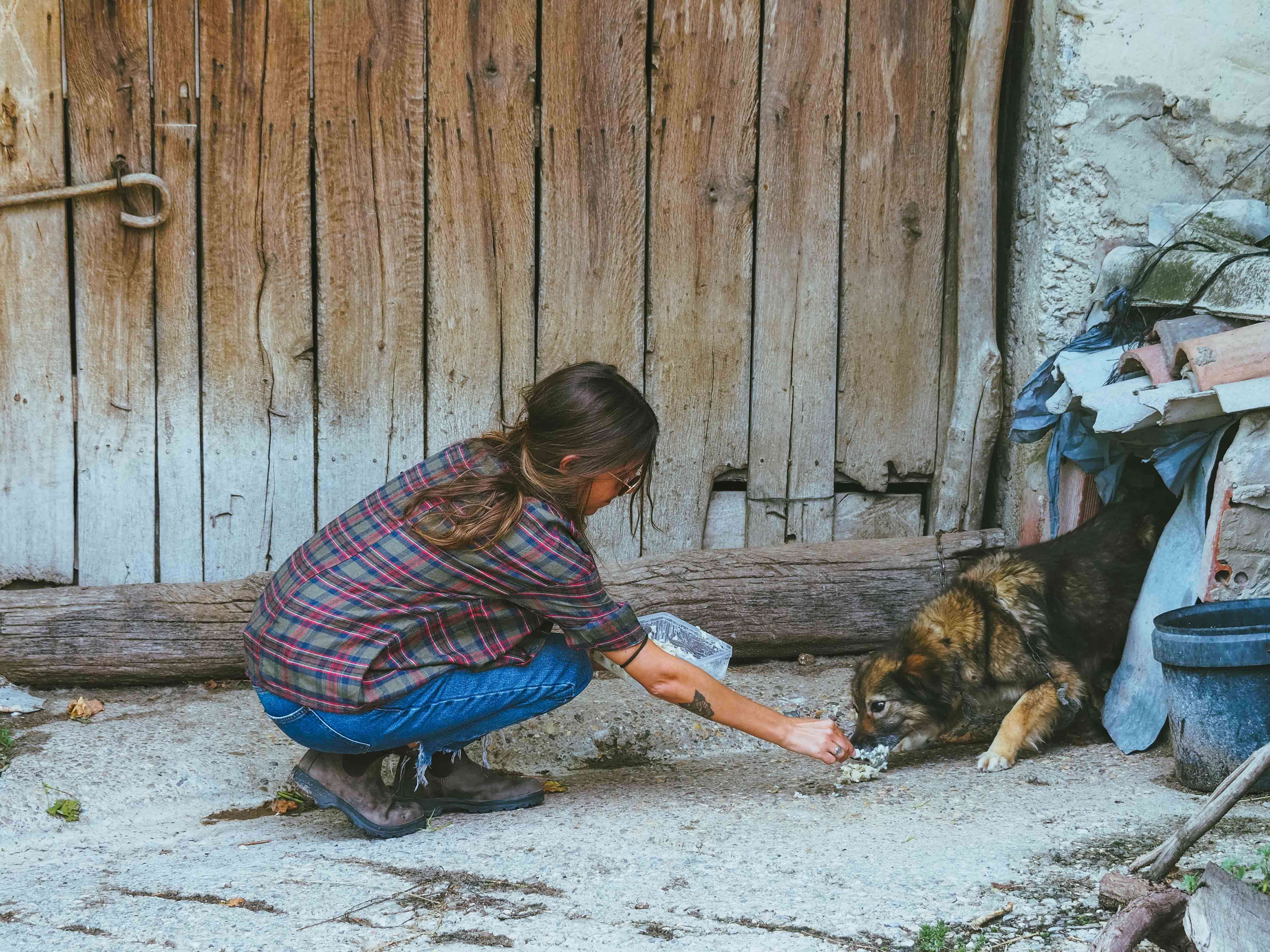 Woman feeding dog