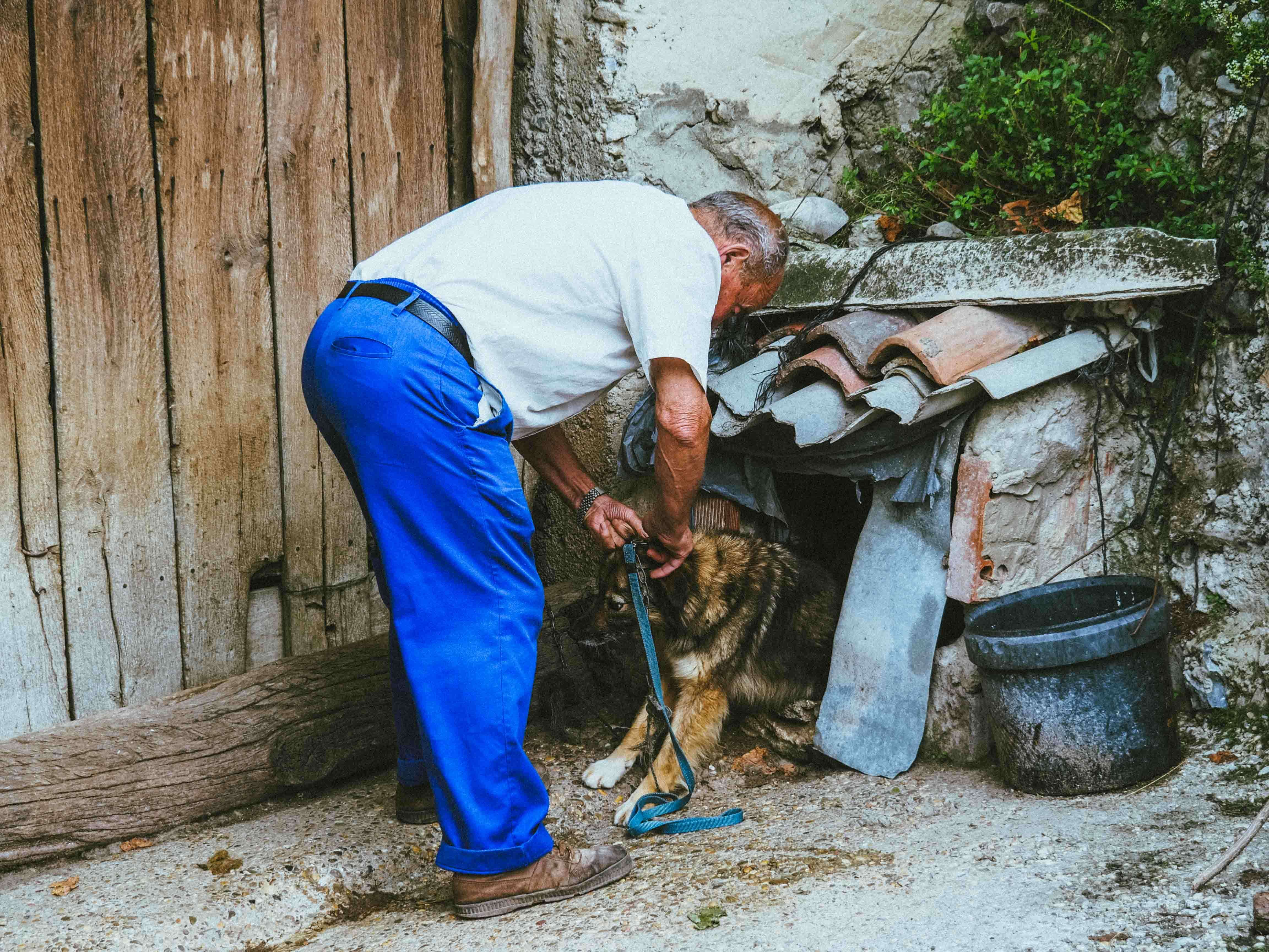 Man putting leash on dog