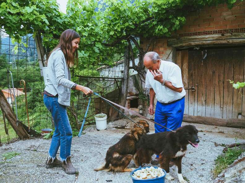 Woman holding two dogs on leashes