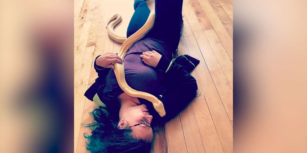 Rescue Snake Loves Cuddling With His Foster Mom - The Dodo