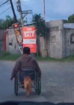 dog pushing his owner's wheelchair