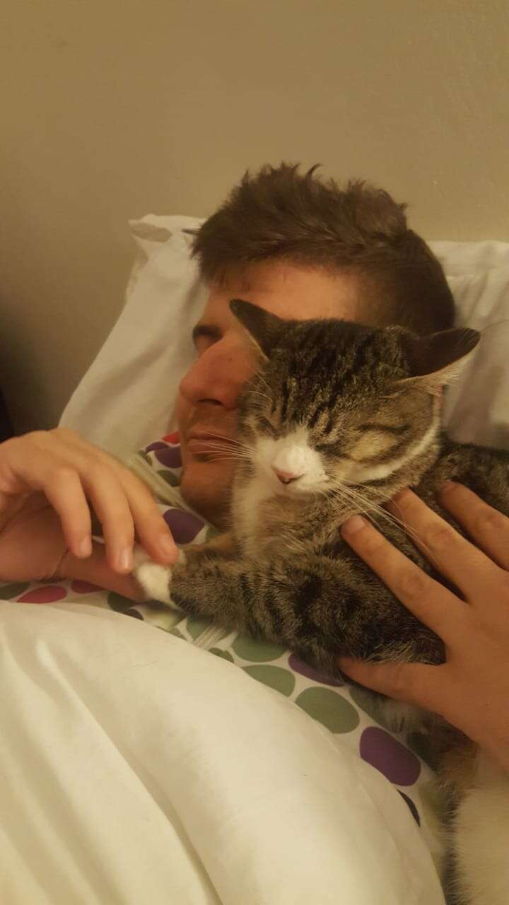 Cat snuggling with man in bed