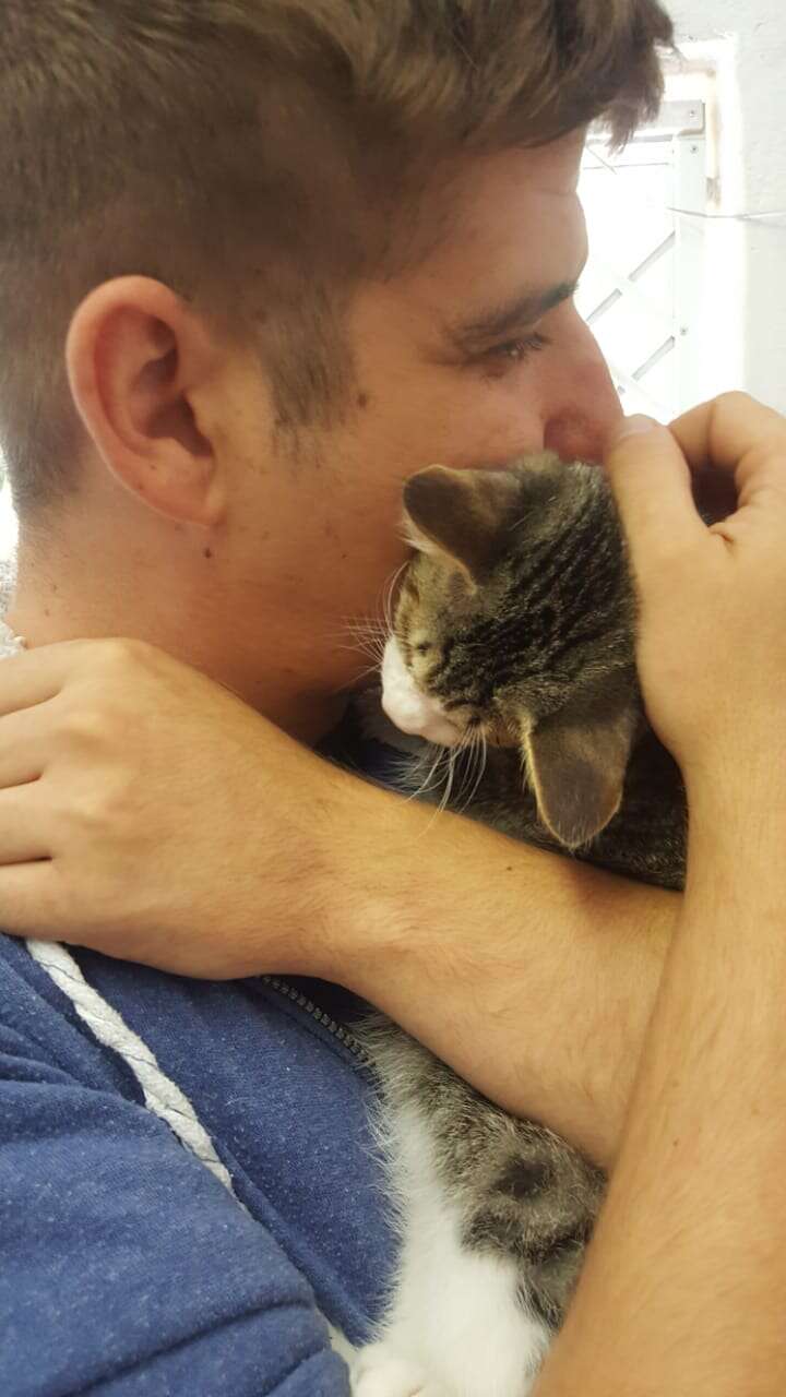 Cat cuddling with man