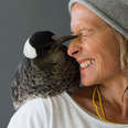 Rescued Magpie Helps Woman Believe in Herself Again