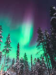 What Are the Northern Lights? What They Are and How to See Them.