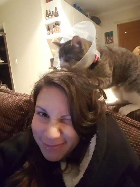 Cat playing in woman's hair