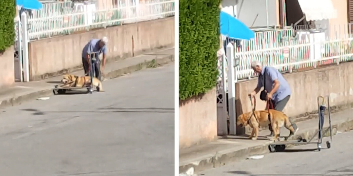 This Touching Video Of A Man And His Dog Is Making People's Hearts Soar