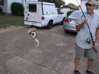 python rescue virginia beach