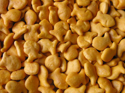 goldfish recalled salmonella scare