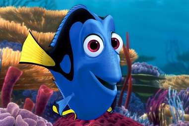 finding dory