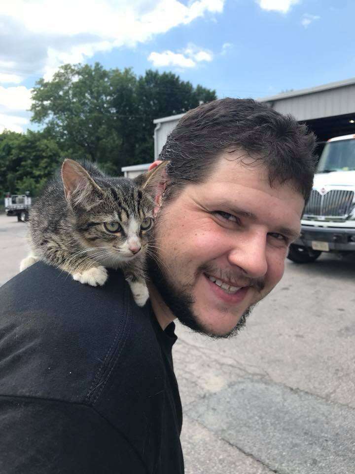 kitten rescue tire virginia