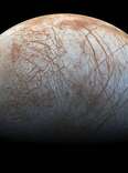 Finding Life on Jupiter’s Moon Europa May Be as Easy as Scratching the Surface