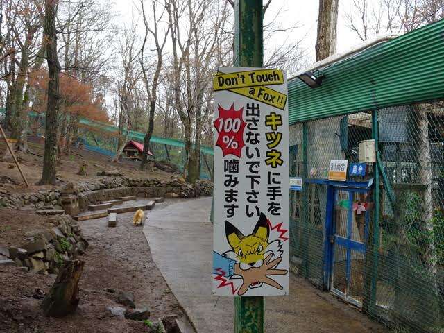 A sign warning visitors not to pet or feed foxes