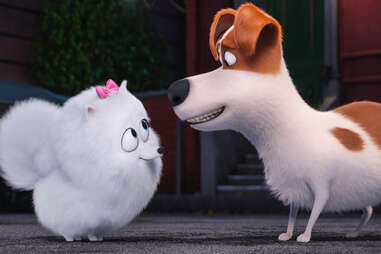 secret life of pets