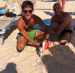 flamingo rescued from ocean