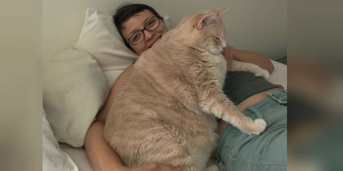 Huge Shelter Cat Finds The Perfect Family To Help Him Lose Weight - The