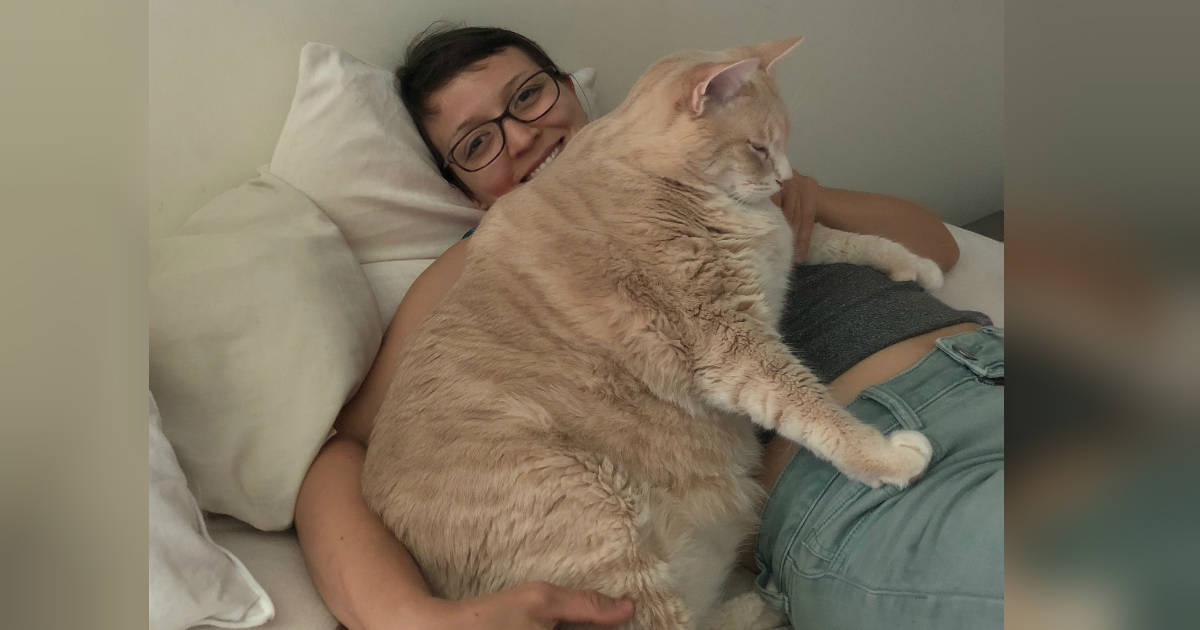 Animal Rescue in Boston Helps Pair of 30-Lb. Cats Lose Weight