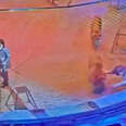 Shocked Audience Watches As Lion And Tiger Fight At Circus